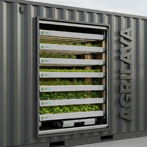 الزراعة العمودية